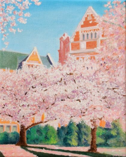 Cherry Blossom At UW ( Oil on canvas 10x8" )