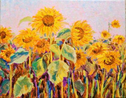 Sunflower Fields ( Oil on canvas 11x14" )