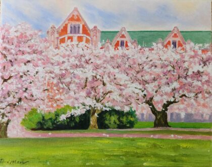 UW Cherry Blossom (Oil on canvas 8x10'')