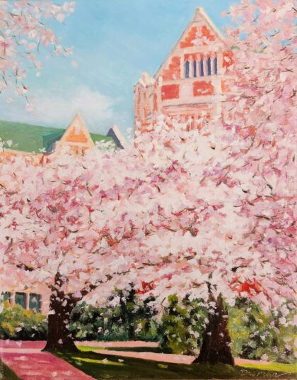 Cherry Blossom in UW ( Oil on canvas 10x8'')